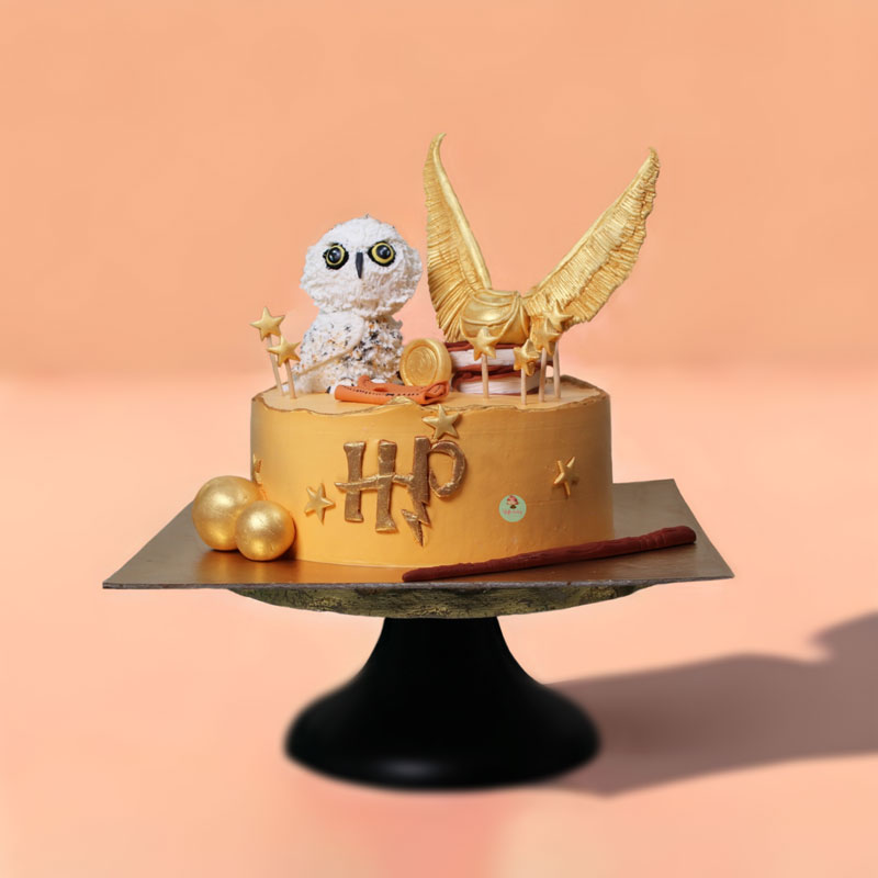 Magical-Harry-Potter-Cake